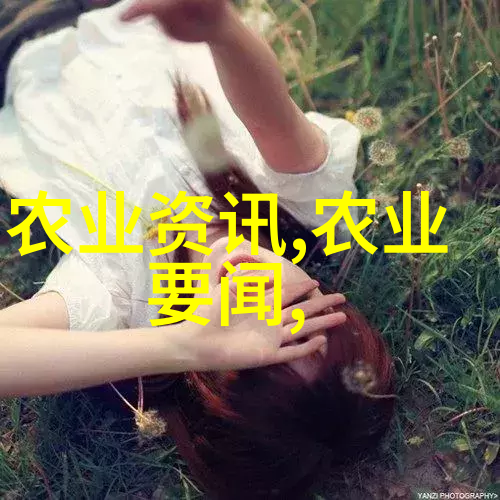 担负起新的文化使命 铸就文化新辉煌写在提出一周年之际
